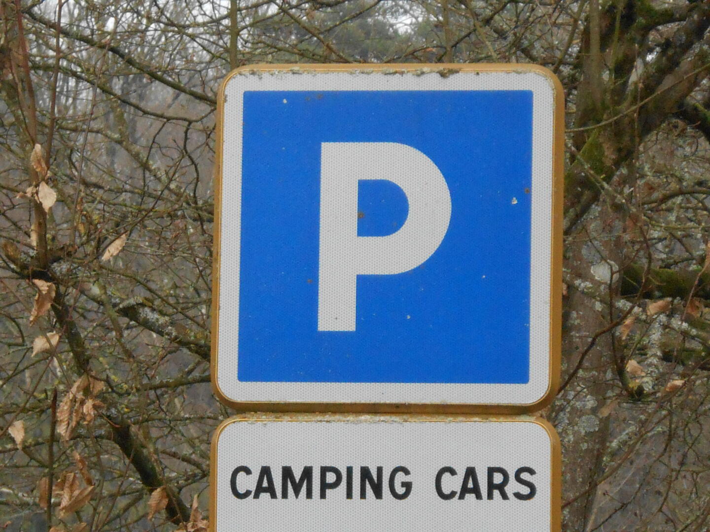 DSCN0490.JPG