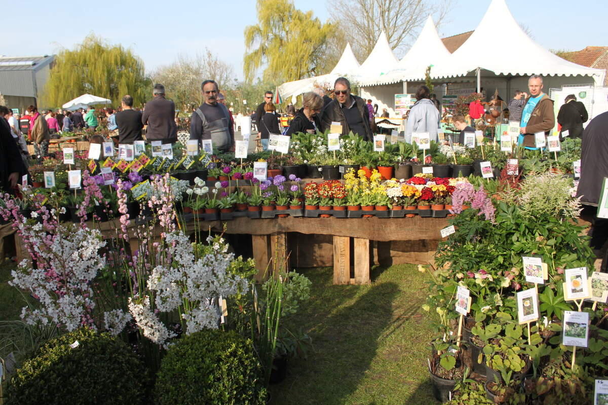 fête-plantes.JPG