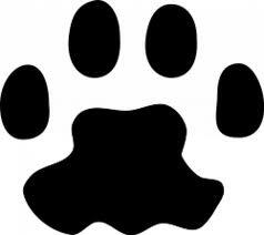 img-name-mising