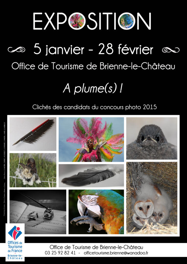 affiche expo 2015 V2 BD.jpg
