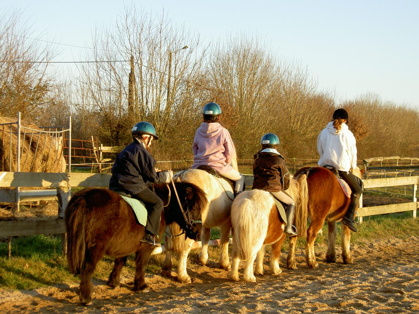 PICT4552.JPG