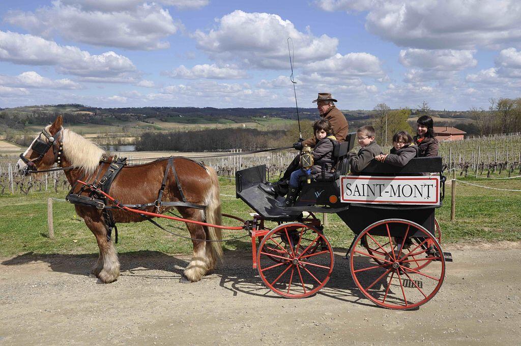 Saint Mont Vignoble en Fête
