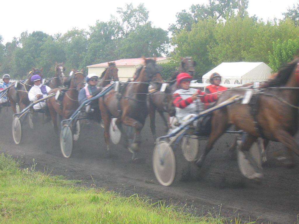 Courses hippiques
