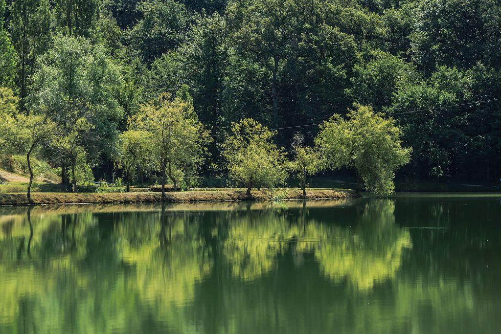 LAC