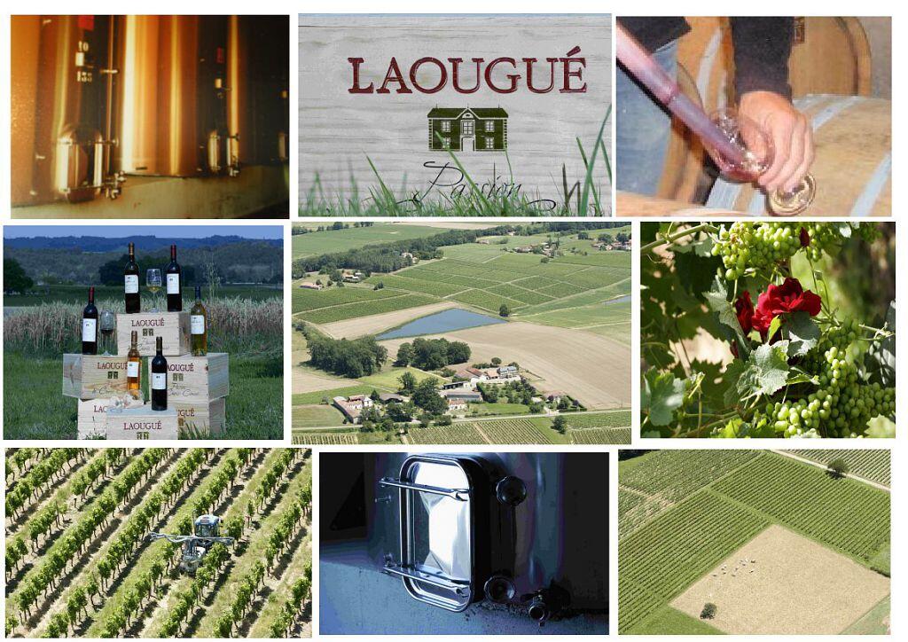 DOMAINE LAOUGUÉ