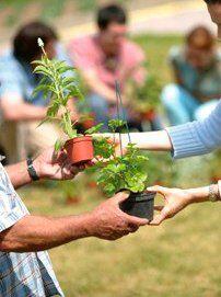 Troc de plantes