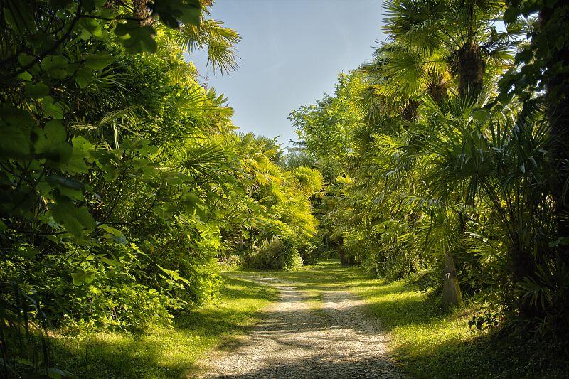 Palmeraie du Sarthou