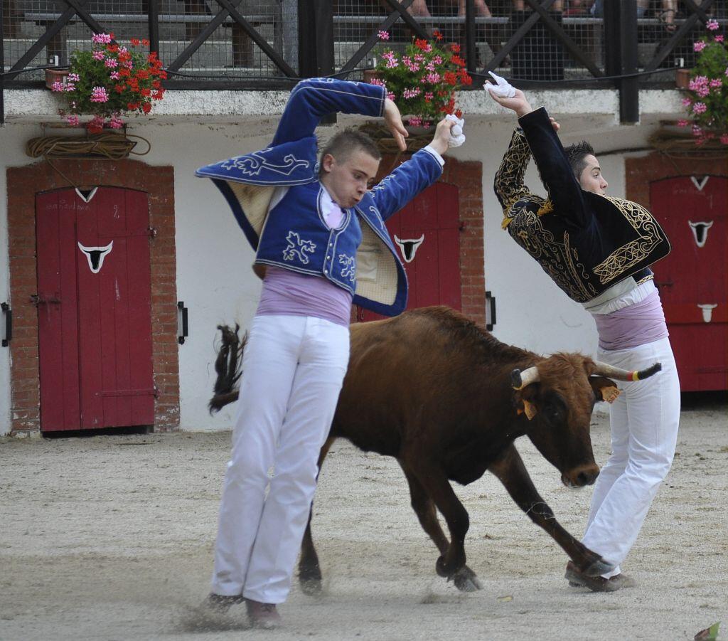course landaise