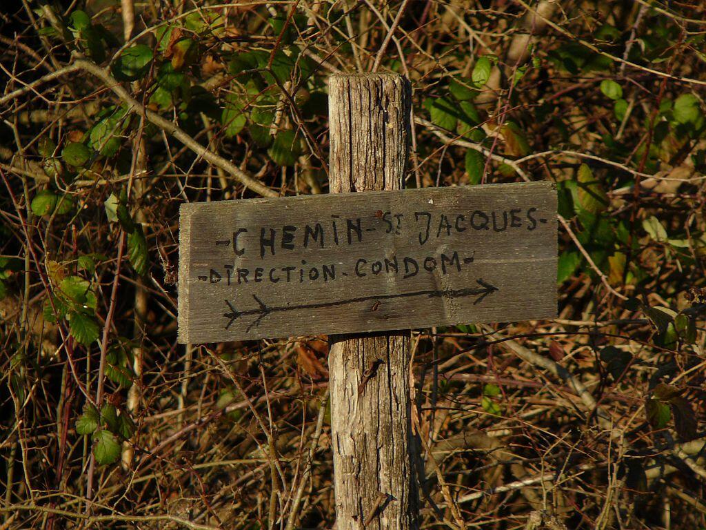 GR652 en Ténarèze