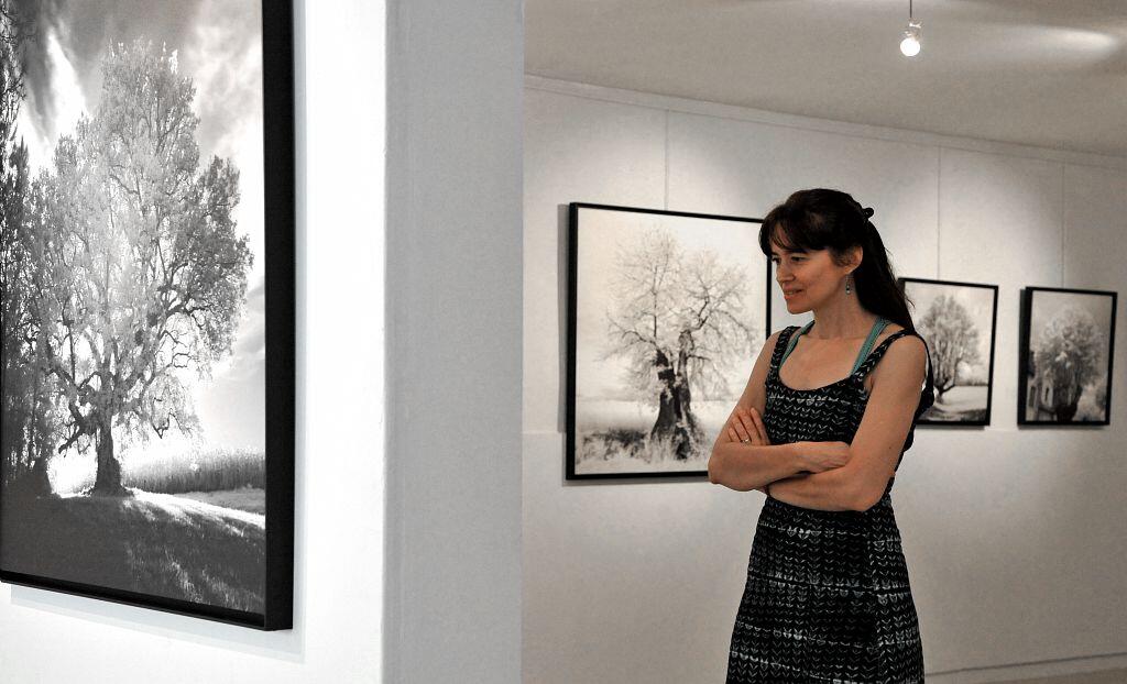 Exposition