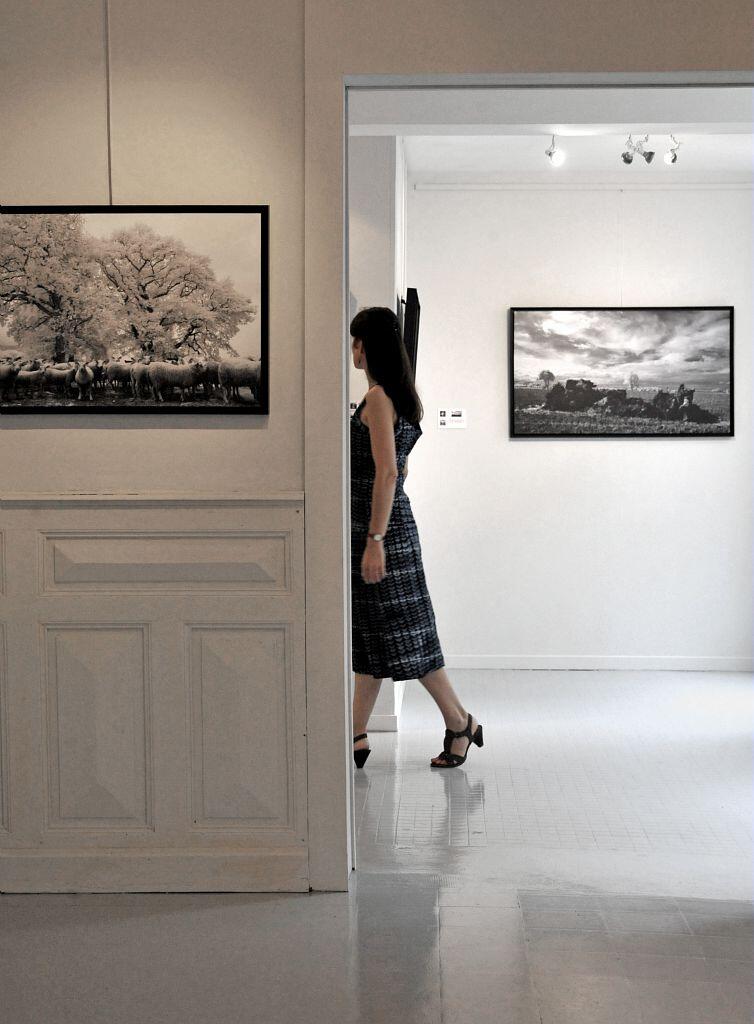 exposition