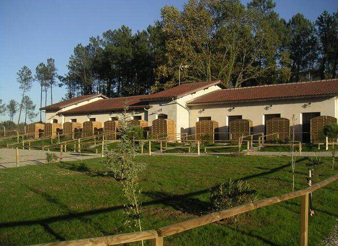 ABC la forêt n° 7