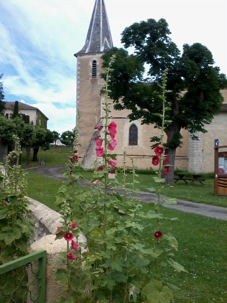 AIRE DE PIQUE-NIQUE DU VILLAGE
