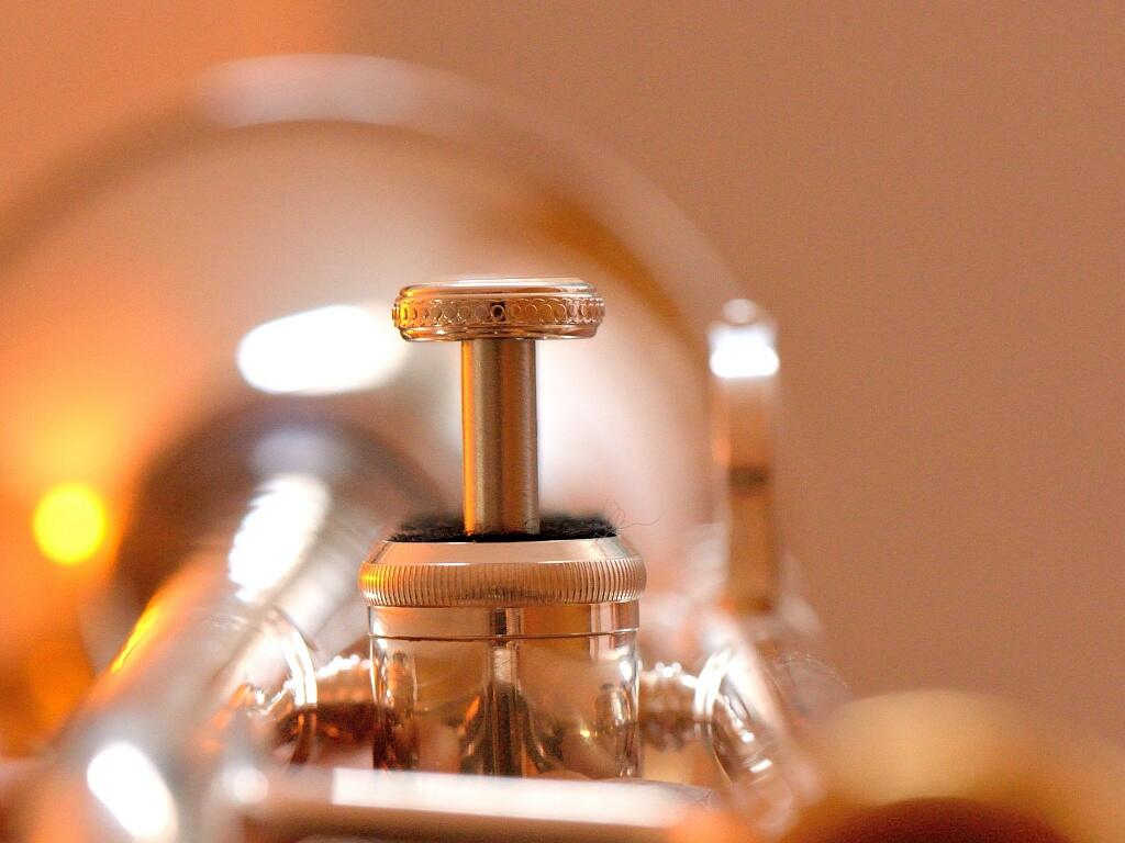 Instrument de musique, concert