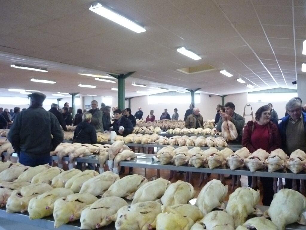 Marché au gras