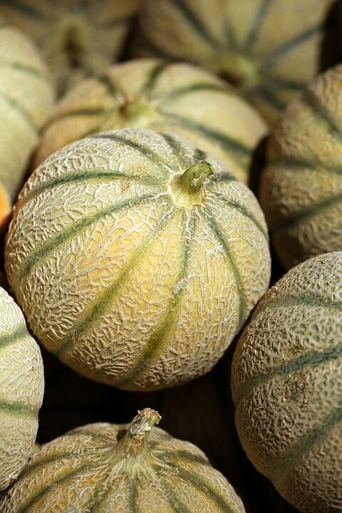 MELON
