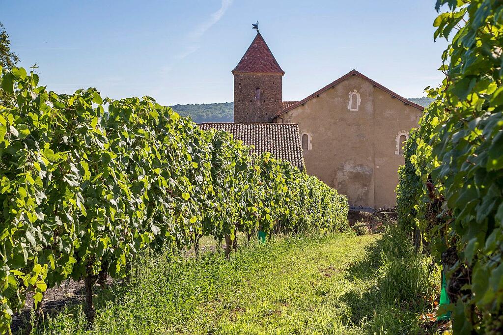 Maison des Vins à Madiran