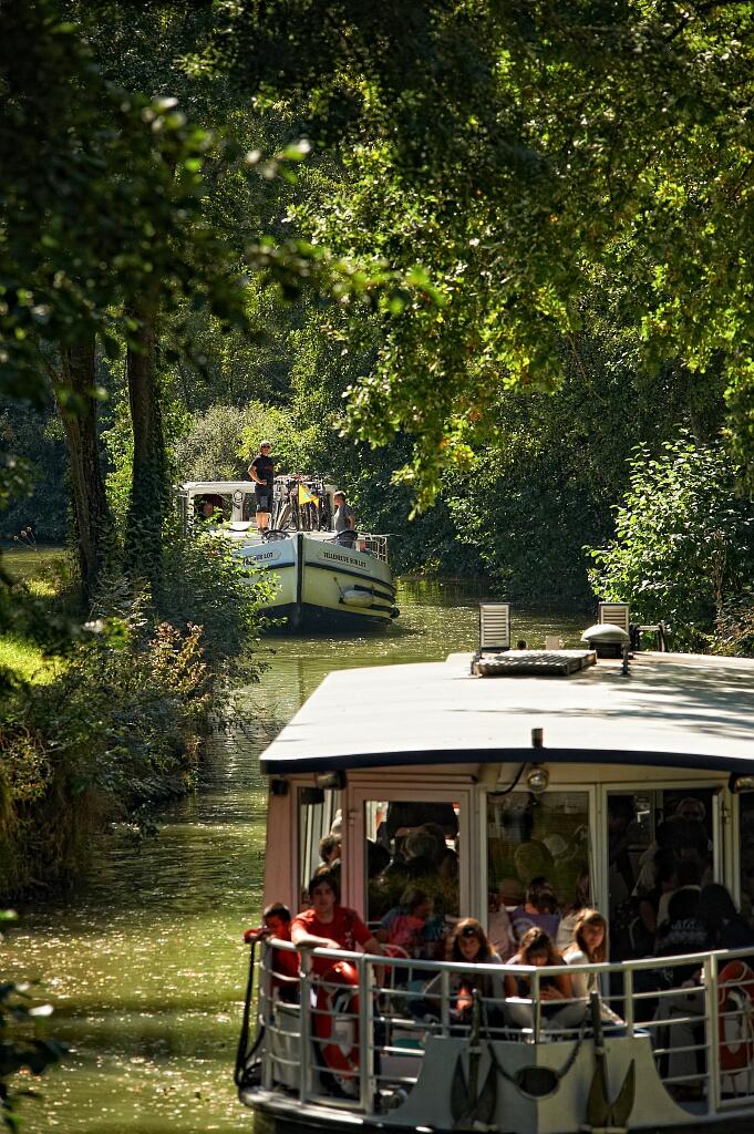 Croisière repas sur la rivière Baïse, dans le Gers