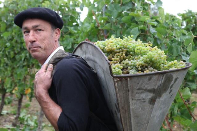 Atelier vendanges