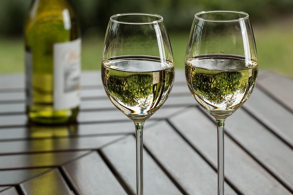 Vinéart en Gascogne au Domaine de La Haillle
