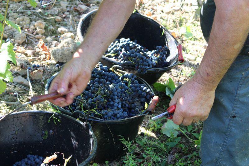 Domaine de Maouries