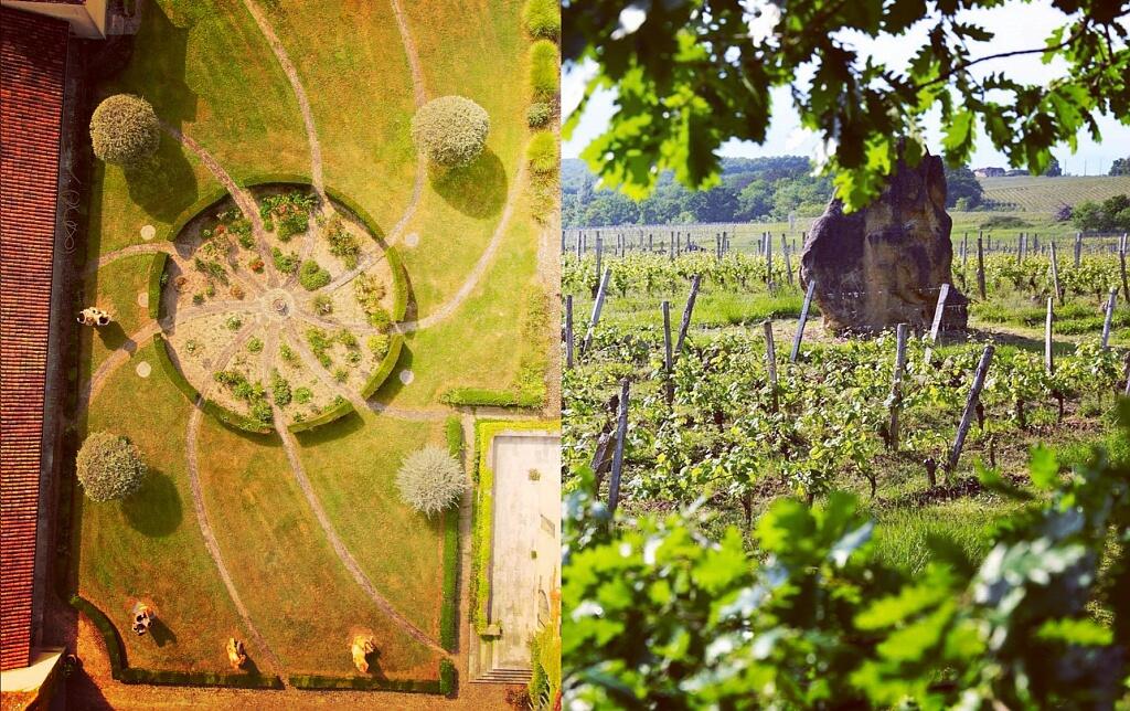 Secrets d'un grand vin