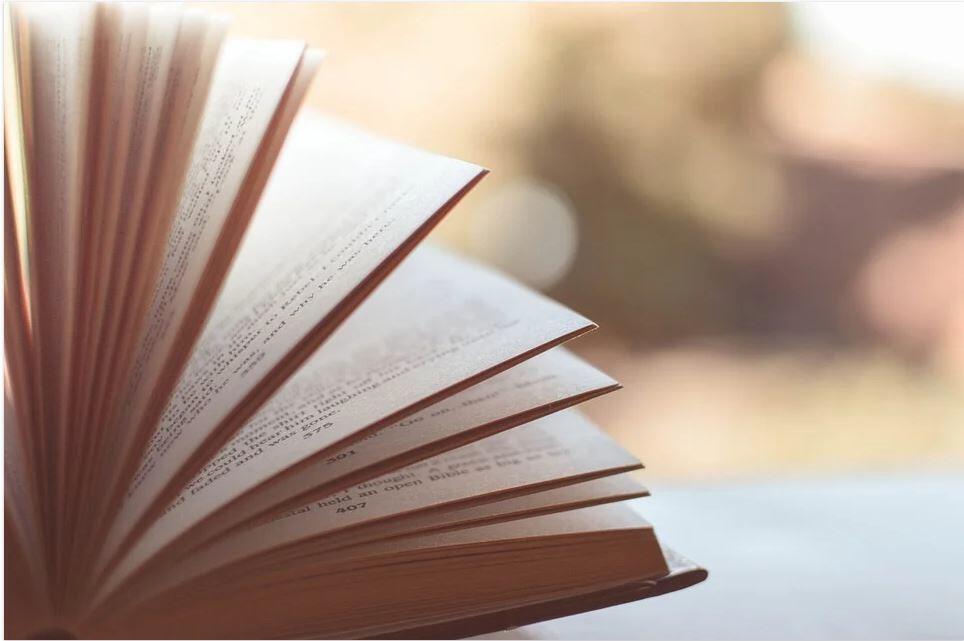 COMITE DE LECTURE