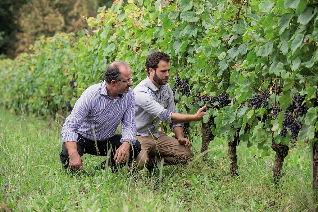Domaine Capmartin