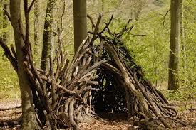 cabane dans les bois