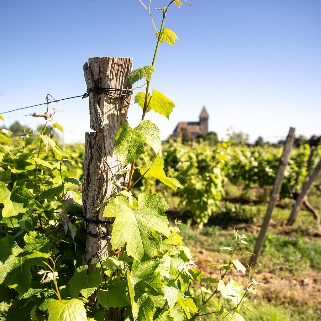 Visite des domaines