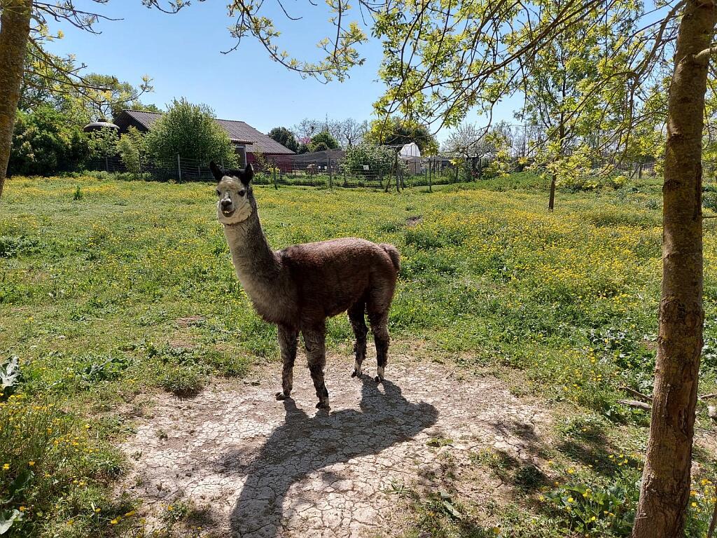 Découverte de la Ferme de Hustet