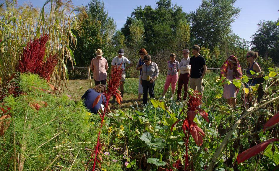 ATELIER NATURE : VOLTIGE DES INSECTES