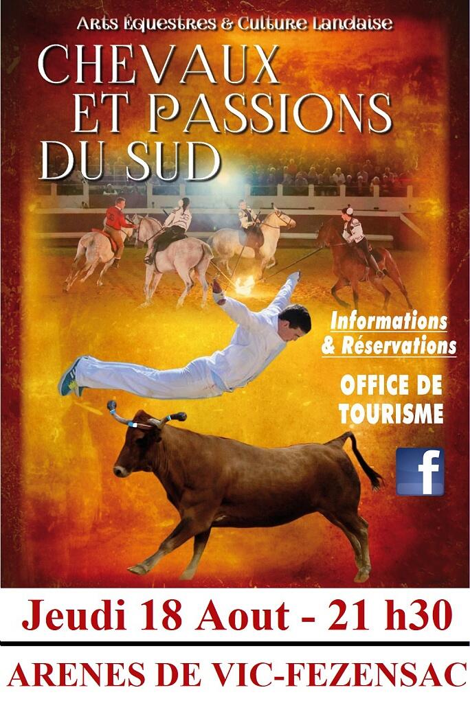 chevaux et passions du sud