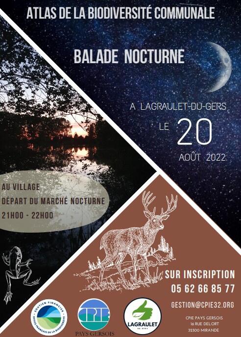 Balade nocturne