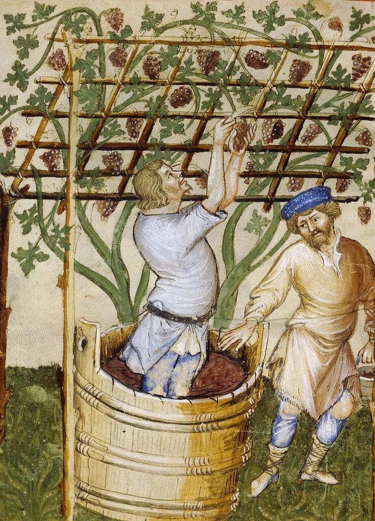 Exposition à l'Abbaye de Flaran : "le vin au Moyen-Âge"
