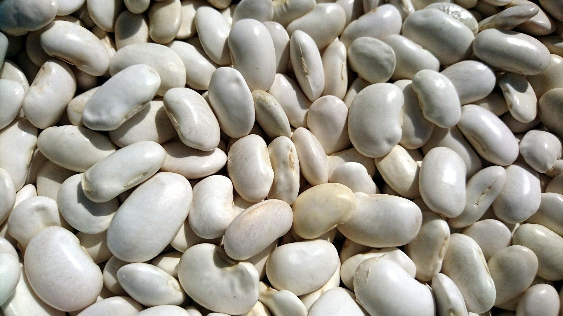 beans-3259013_1920
