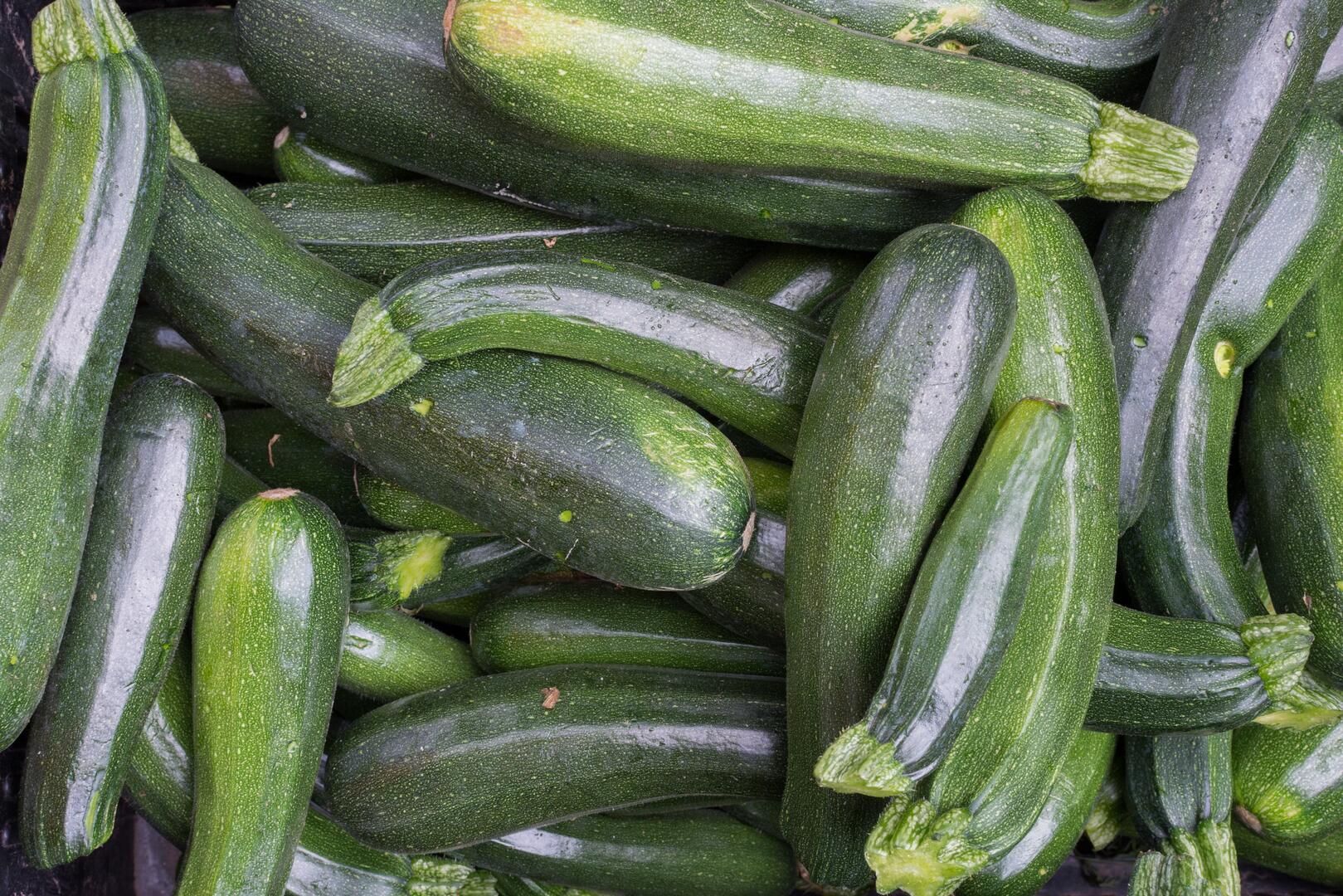 Bunch of green zucchini aerial