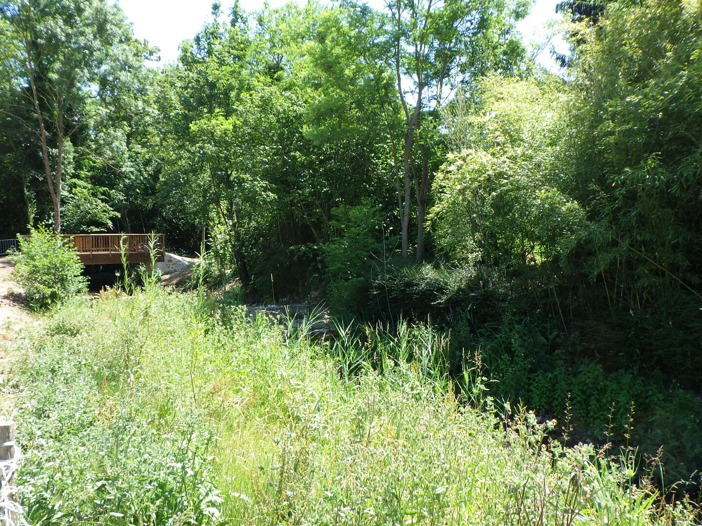 sentier rudenoise_CENP A Messéan