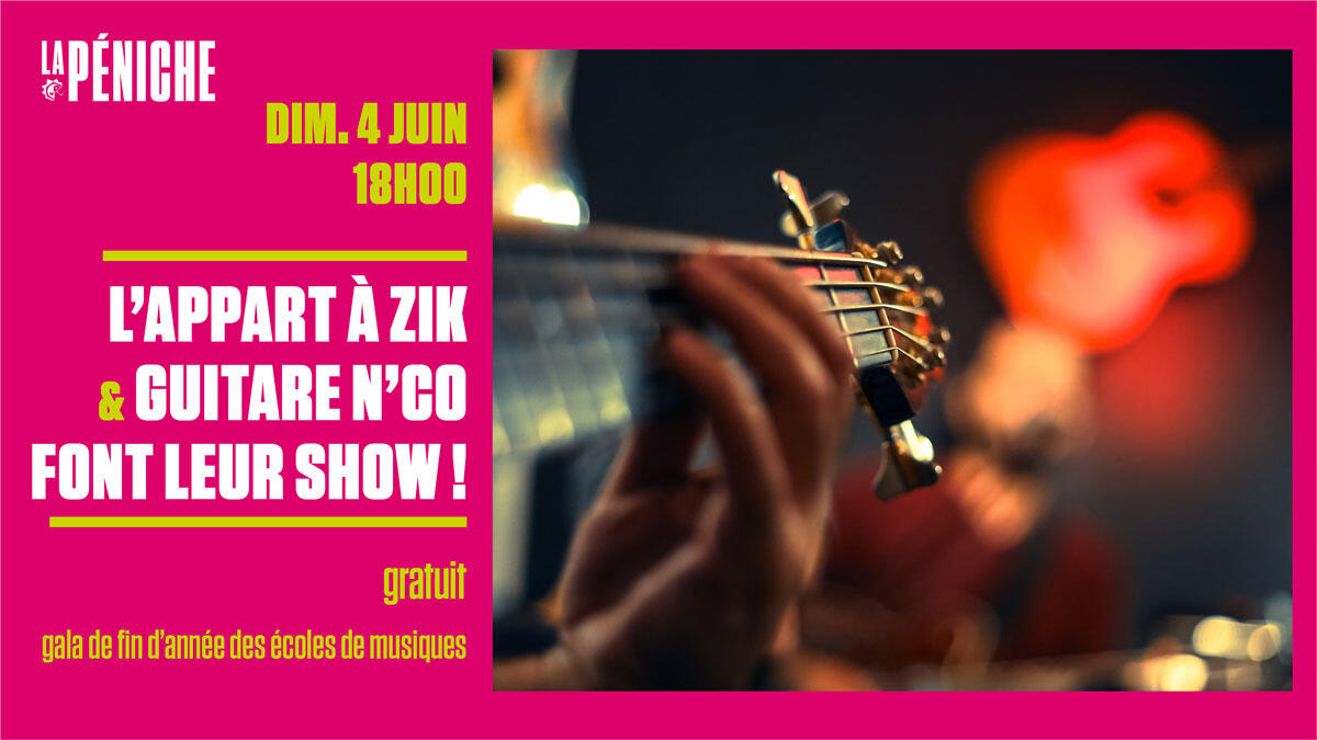 Guitare n'co et L'Appart à Zik