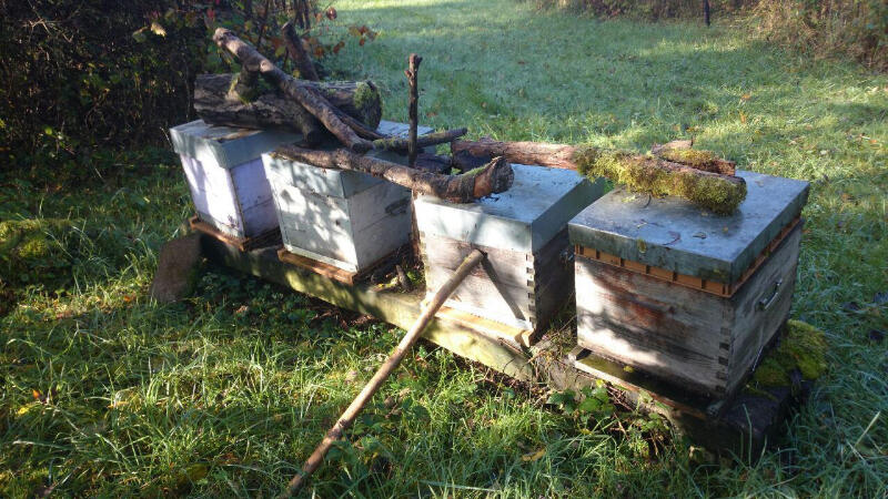 072 Apithalie - Rondelet apiculture