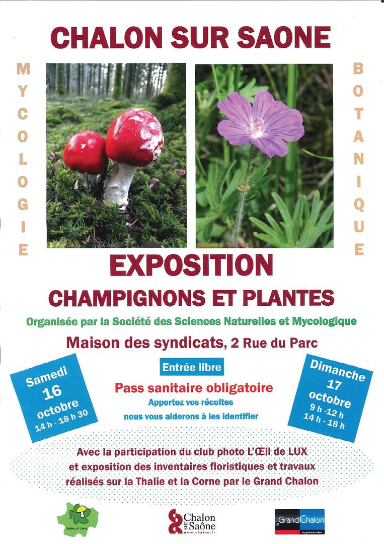 17.10.2021 Exposition Champignons et Plantes