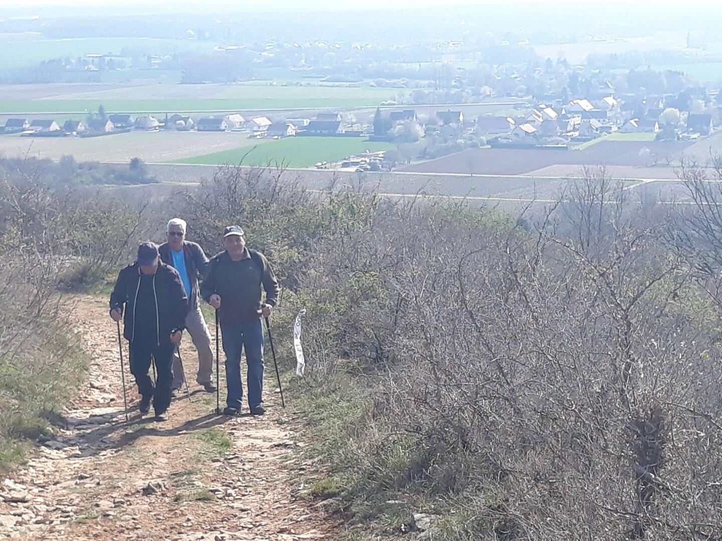 Randonnée marathon des vins de la Côte Chalonnaise