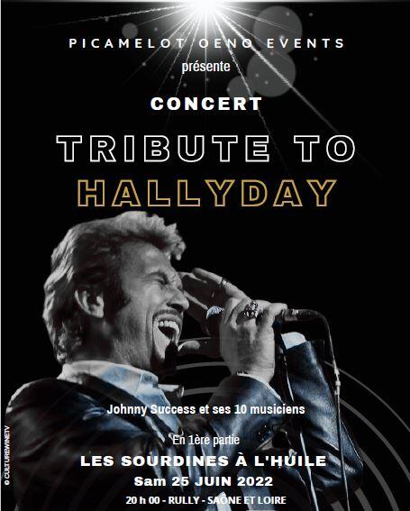Picamelot oeno events : concert Tribute to Hallyday