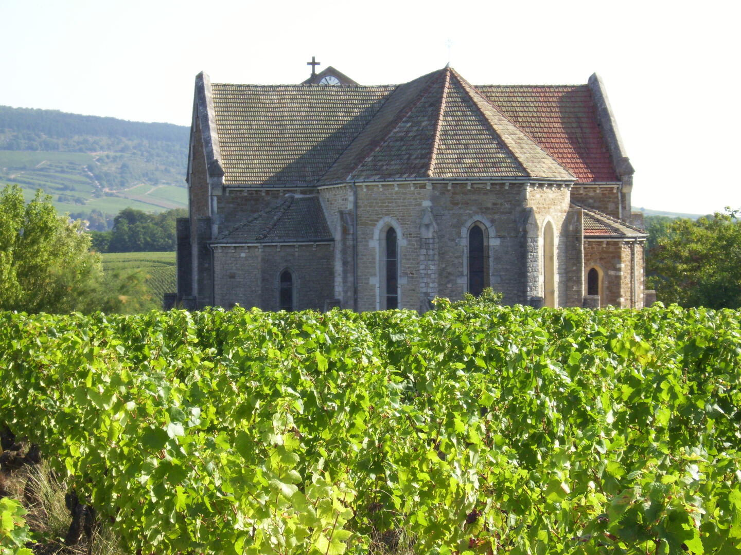 Cheilly-les-Maranges-eglise-2009-OT