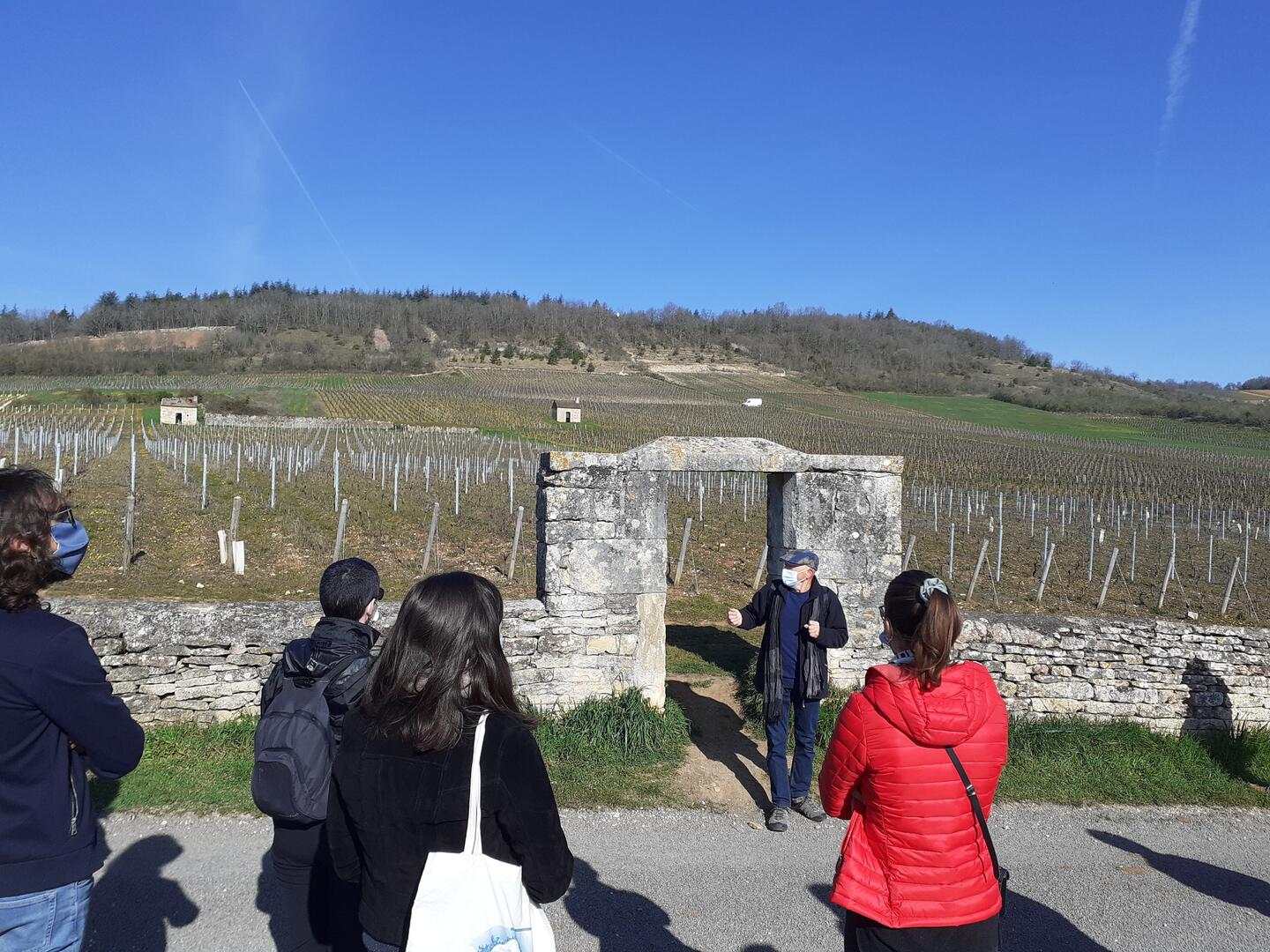 Balades vignes personnes