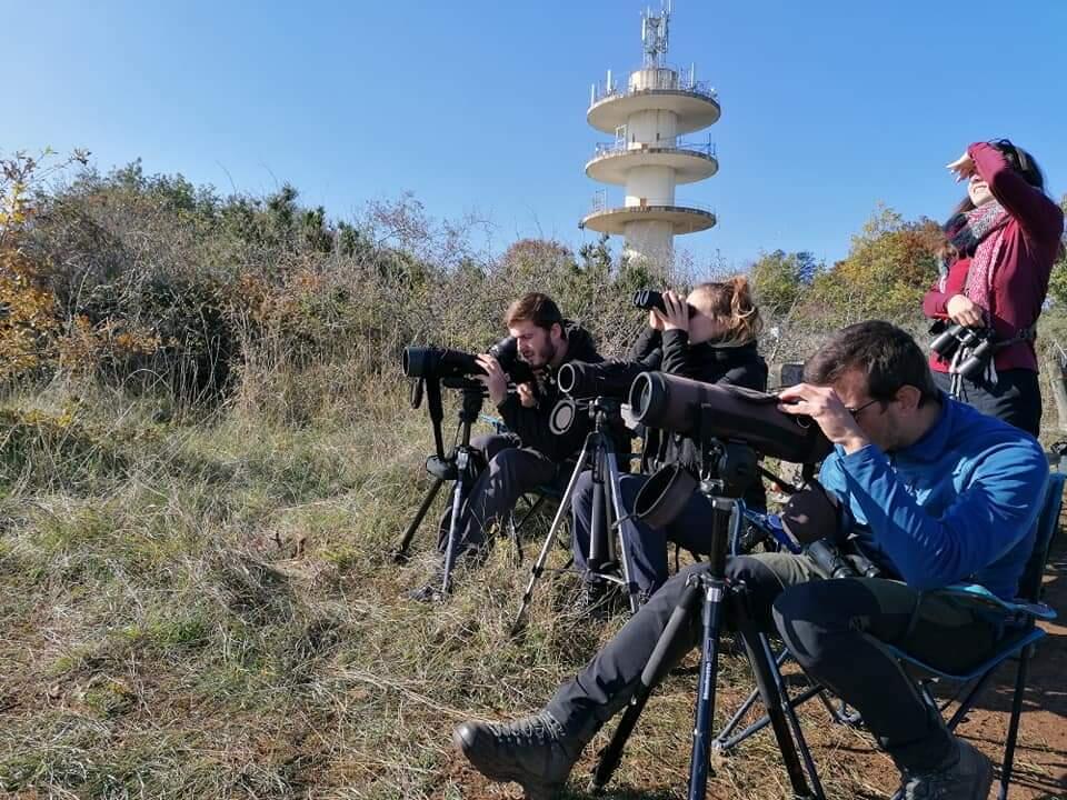 Observateurs à la montagne de la Folie