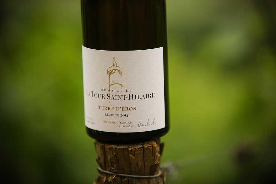 Fontaines - Domaine de la Tour Saint Hilaire