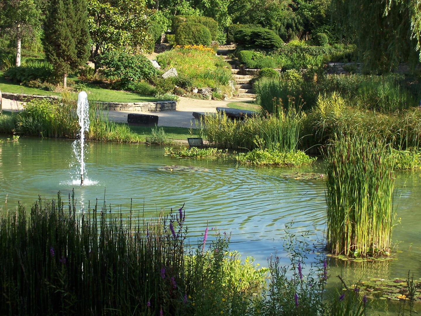 Jardin-botanique-2011-OT (9)