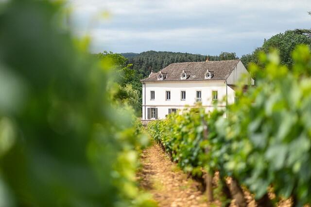 Mercurey - Château de Garnerot - Vins - Domaine - Dégustation - 2019 (7)