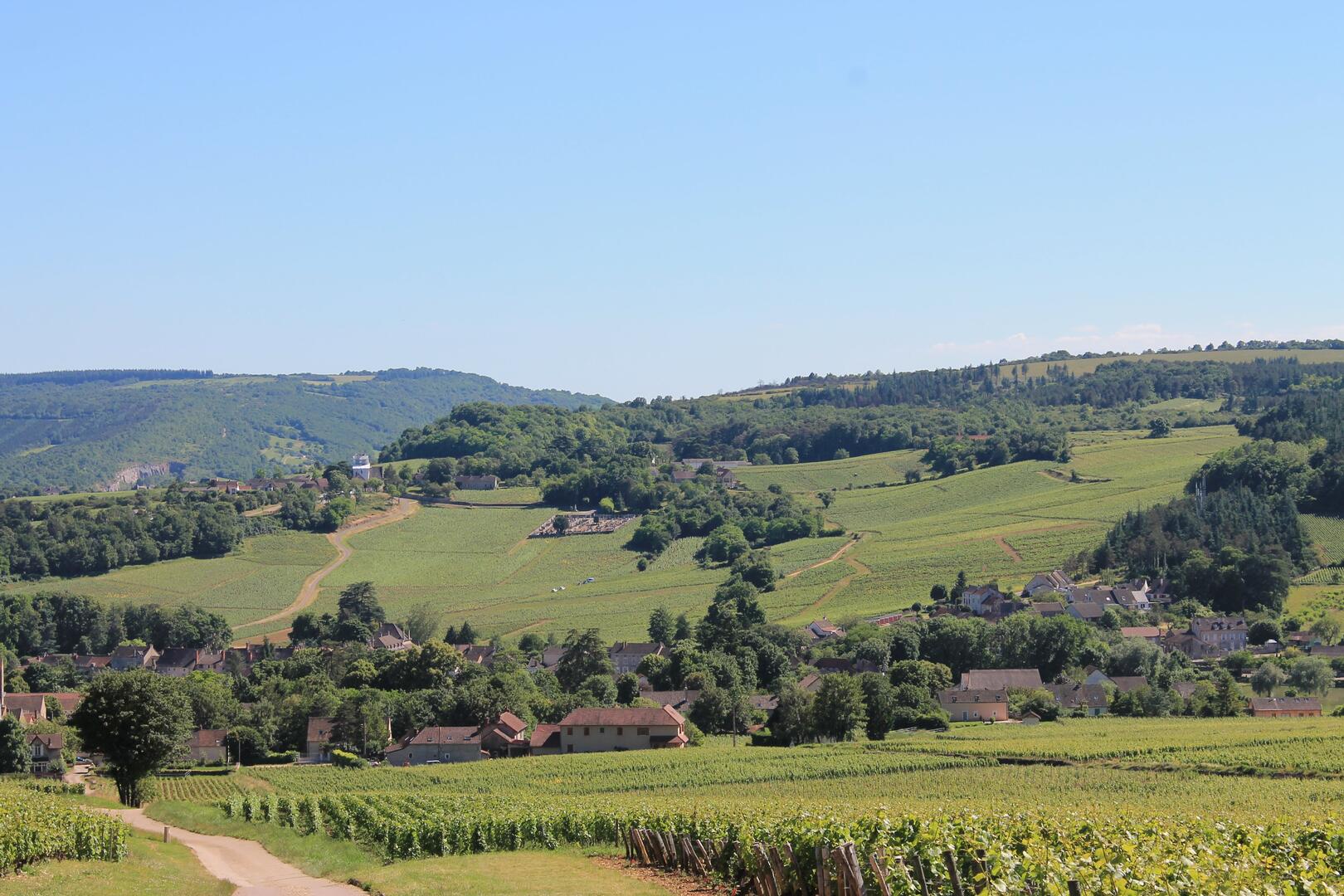 Mercurey-vins-vignes-paysages-2016-OT (39)